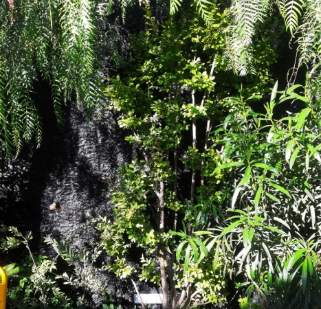 Club von Tomas Garcia Piriz in Granada