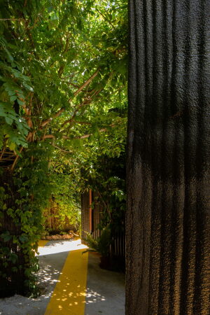 Club von Tomas Garcia Piriz in Granada