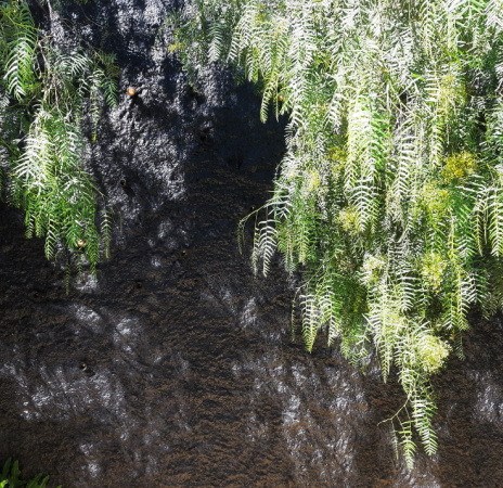 Club von Tomas Garcia Piriz in Granada