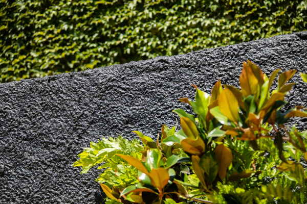 Club von Tomas Garcia Piriz in Granada