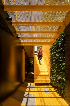 Club von Tomas Garcia Piriz in Granada