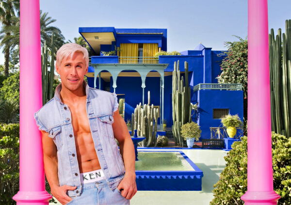 Life in the Dreamhouse