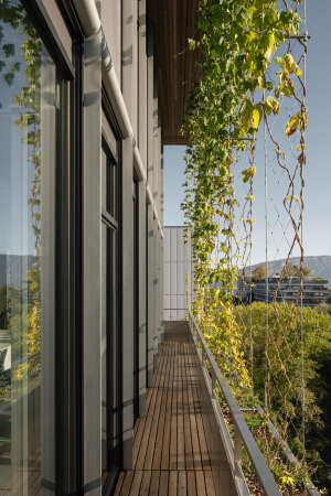 Hauptsitz in Genf von Sauerbruch Hutton