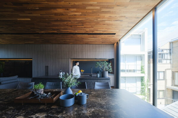 Wohnhaus in Tokio von Apollo Architects