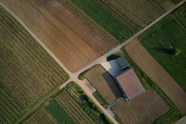 Weinerei in M�hren von Atelier Stepan