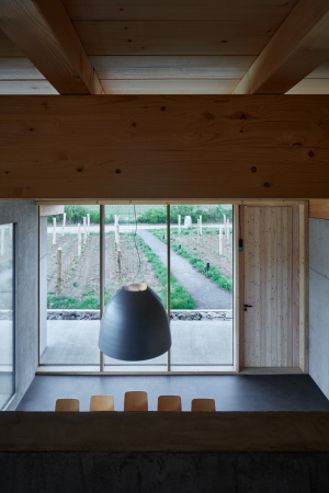 Weinerei in M�hren von Atelier Stepan