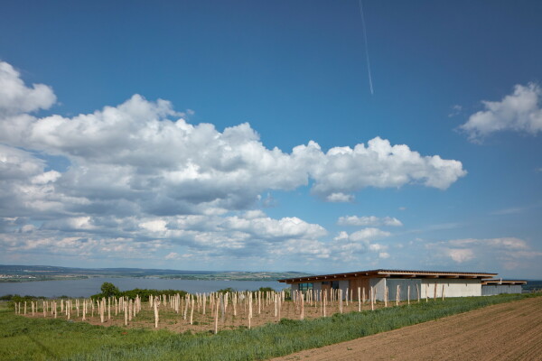 Weinerei in M�hren von Atelier Stepan