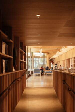 Bibliotheksanbau in London von Studio Weave
