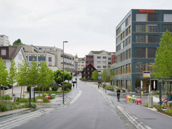 Wohnbebauung bei St. Gallen von Hosoya Schaefer Architects