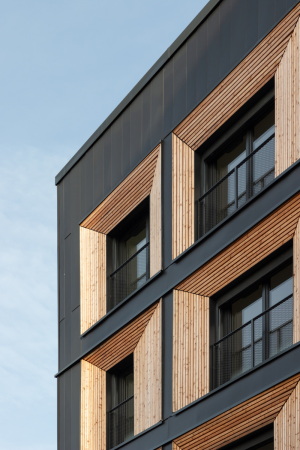 Mehrfamilienhaus in Aubervilliers von Pietri Architectes