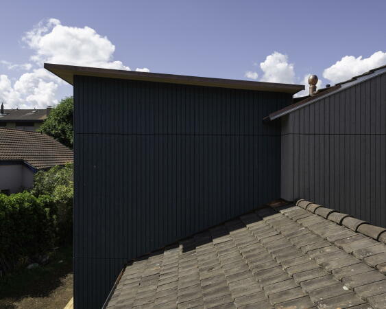 Genossenschaftliche Sanierung von Studio Balthasar Wirz