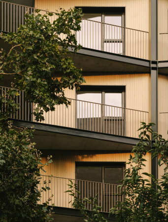 Studio Woodroffe Papa und Poggi in London