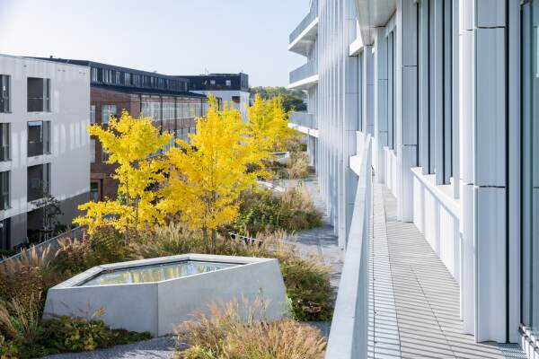 B�robau von Barkow Leibinger in Berlin