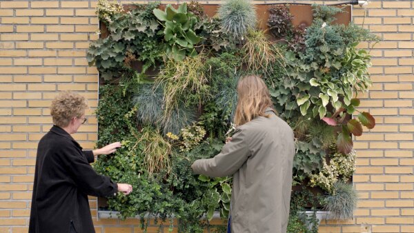 Green fa�ade, Havelwerk in Spandau