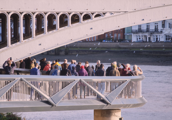 Fugngerbrcke in London von Moxon Architects und COWI