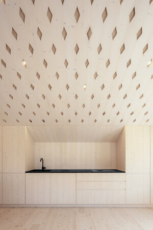 Gstehaus in Sdtirol von Pedevilla Architects