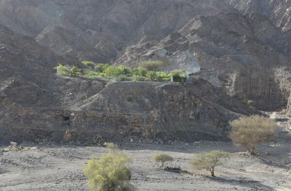 Nach dem mit einem Goldenen Lwen prmierten Wetland geht es nun also um das Potenzial von drren Landschaften.