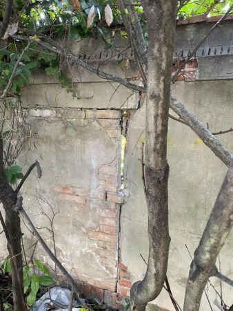 Urspr�nglich sollte der Pavillon mittels einer Mauer�ffnung f�r die Nachbarschaft des angrezenden Viertels zug�nglich gemacht werden. Weil die Biennale keine Zustimmung zum Eingriff gab, k�nnte es nun auf eine Br�cke �ber die Mauer hinauslaufen.