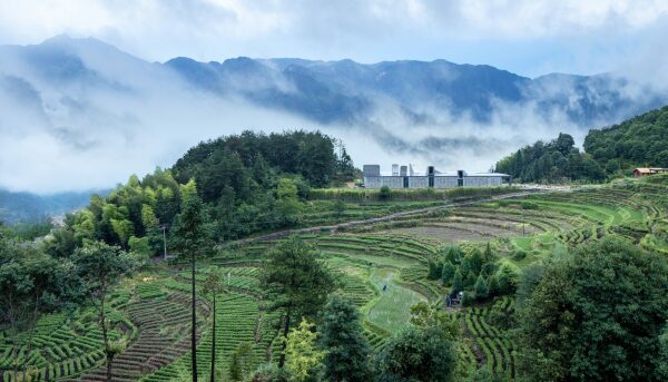 Huiming Tea Space in Jingning, 2020