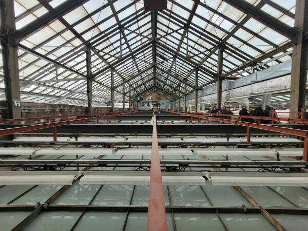 Historische Dachkonstruktion ber Sdflgel Prozessionsstrae