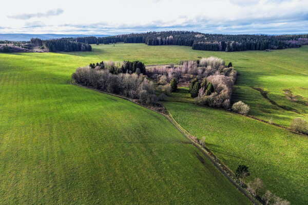 Wettbewerbsgebiet Bad Lobenstein, Naturraum um Bad Lobenstein, Moor