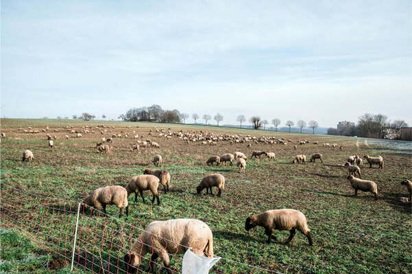 Wettbewerbsgebiet Kassel, Fernblick nach Osten über das Projektgebiet, Hheweg im Hintergrund