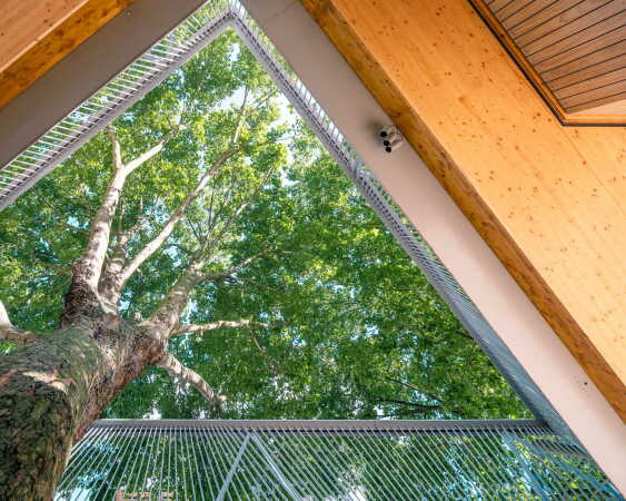 Holzbau in London von Bell Phillips Architects