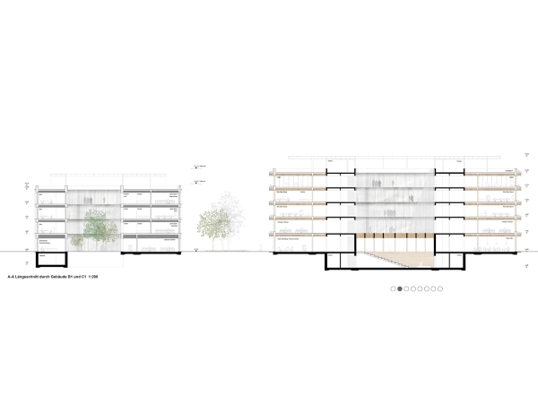1. Preis: Lngsschnitt Baufeld B1 und C1