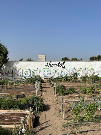 Huertos Monte, Madrid 2022