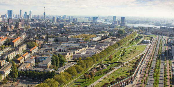 Orange Architects in Rotterdam