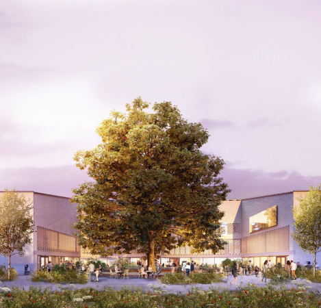 Der 150 Jahre alte Baum auf der Westseite bleibt stehen und wird in die Freifl�chen integriert.