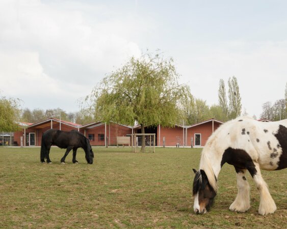 Pflegeheim bei Antwerpen von Nu Architectuuratelier