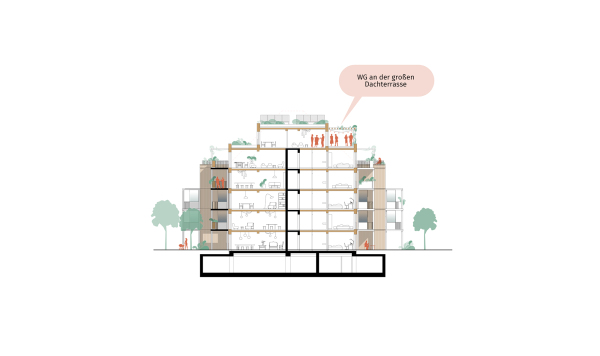 Schnitt, Aspernstrae