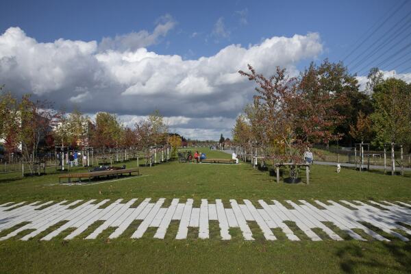 Entspannen im Dorothea-Buck-Park