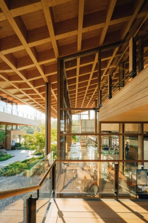 Markthalle von a9a rchitects in Zhengzhou