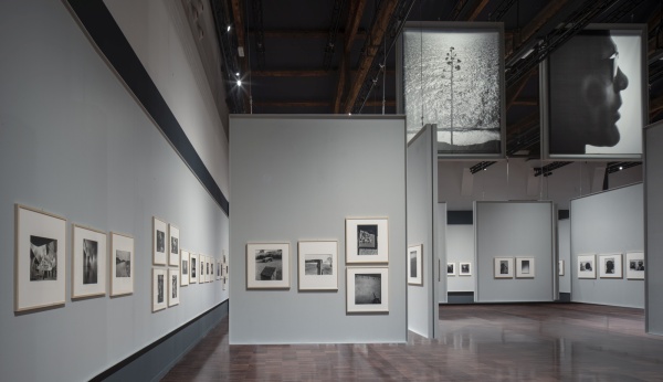 Nachdem die Stiftung das ikonische Casa dei Tre Oci an Nicolas Berggruen verloren hatte, verfgt sie nun ber fast noch schnere Rume  zumindest fr den Ausstellungsbetrieb.