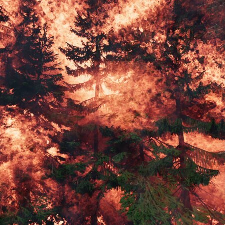 David Claerbout, Wildfire (meditation on fire), 20192020