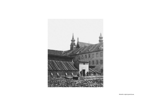 Ausstellungspavillon in Brnn von Chybik + Kristof