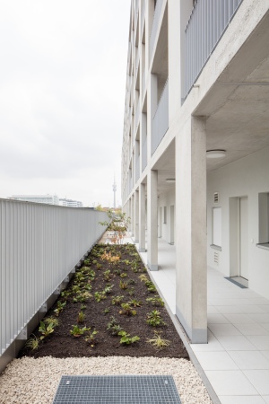 Wohnungsbau in Mnchen von Superblock