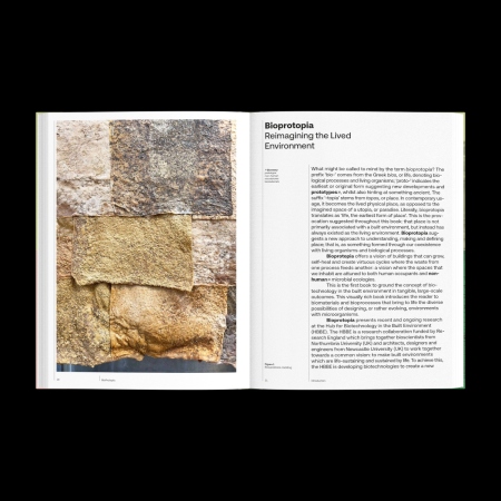 Einblick in die Publikation