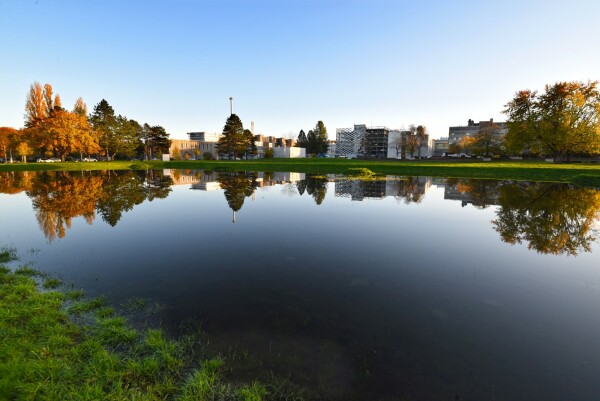 Preiskategorie grn-blaue Infrastruktur  Auszeichnung: Regenwasserbewirtschaftung am Campus Lichtwiese der TU Darmstadt vom Dezernat V der TU Darmstadt