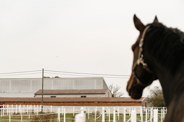 Reitstall in Jaroszewo von Wiercinski Studio
