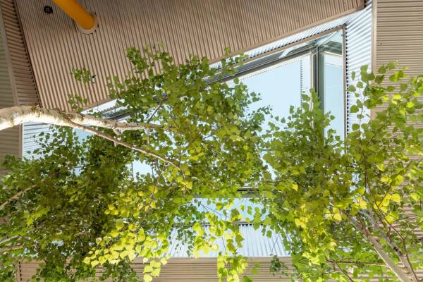 Erweiterung bei Turin von ElasticoFarm