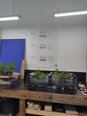 Niederlndischer Pavillon Plumbing the System (in den Giardini)