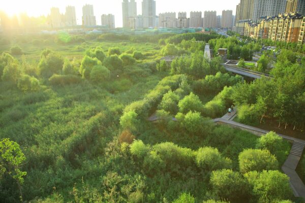 Qunli Stormwater Park in Haerbin City, Provinz Heilongjiang, China, 2015