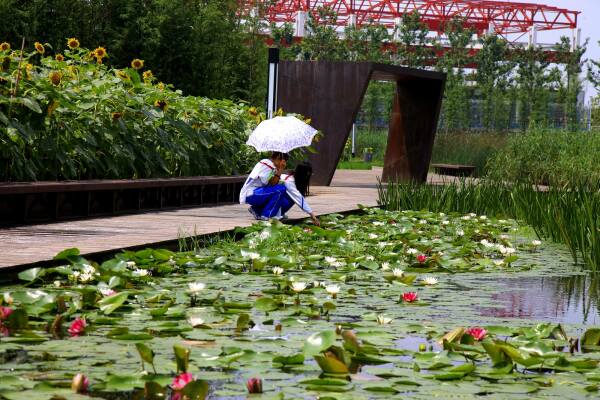 Shanghai Houtan Park, China, 2010