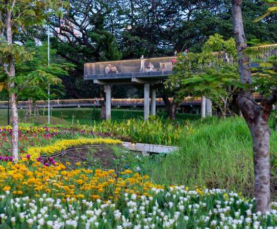 Benjakitti Forest Park in Bangkok, Thailand, 2022