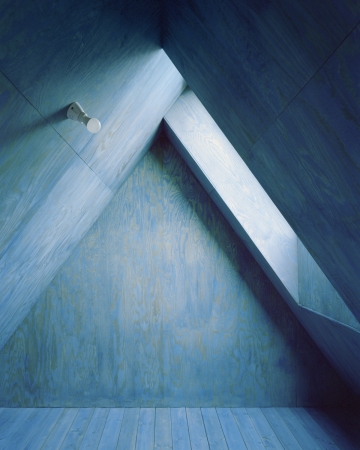 Sommerhaus von Pankowska & Rohrhofer auf Wolin