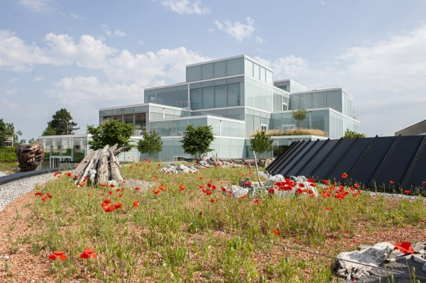Lernzentrum von Sou Fujimoto Architects mit Burckhardt Architektur