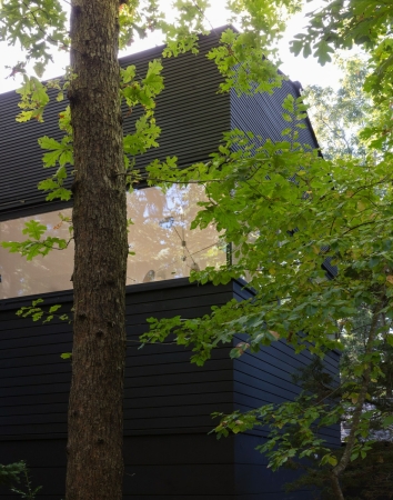 Atelieranbau von Worrell Yeung in den Hamptons